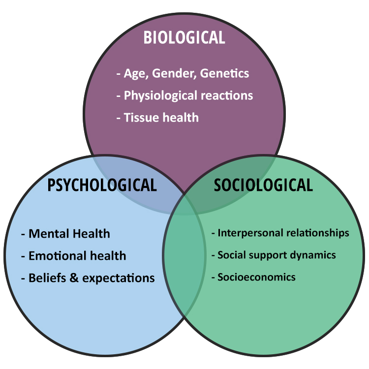 A Health Psychologists' perspective on Wellbeing at Work - Working To ...